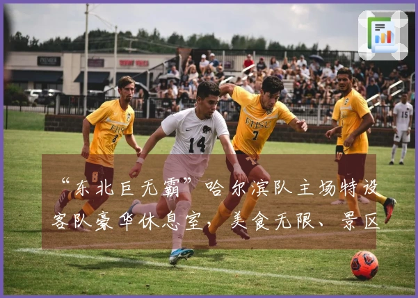 “东北巨无霸”哈尔滨队主场特设客队豪华休息室，美食无限、景区票价减半｜阿城热情四溢迎接体育盛会